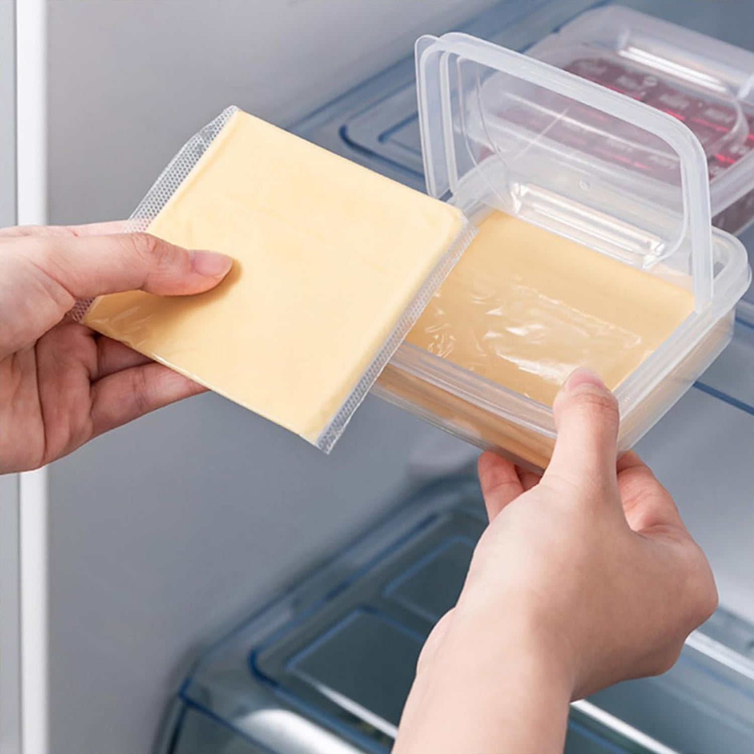 FreshView Transparent Container FreshView Transparent Container